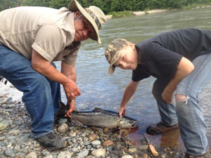 2012_july-10-braydon-bedard-10yrs=old-16lbs-kitimat-river-pump-house